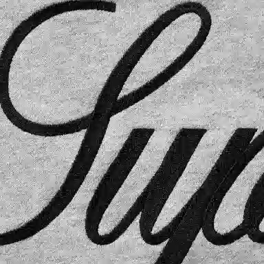 Supreme FW22 Fleece Hooded Denim Shirt