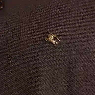 Burberry Polo