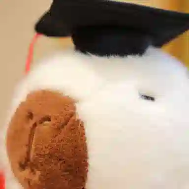 MLING 25cm