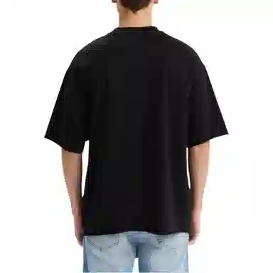 levis T