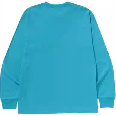 A BATHING APE FW25 FW25 T