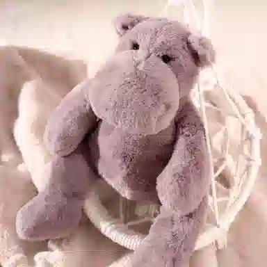 MONAMI 24cm