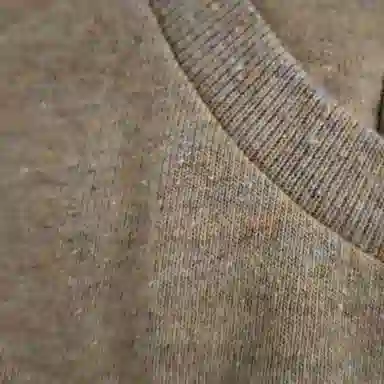 patagonia T