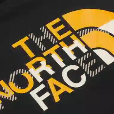 THE NORTH FACE Logo
