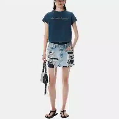 alexander wang SS25 T