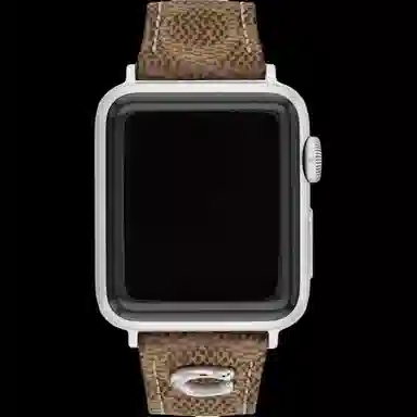 COACH 210mm