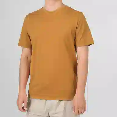 Zegna T