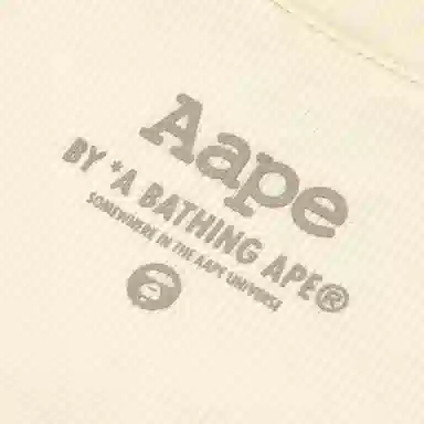 Aape T