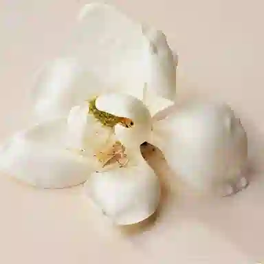 Chloe EDP 4ml*3