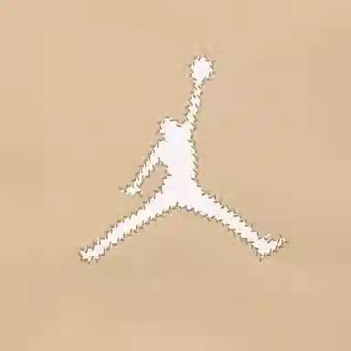 Jordan Flight MVP logo
