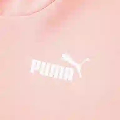 PUMA POWER COLORBLOCK HOODIE