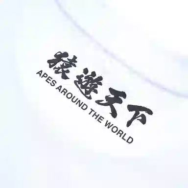 A BATHING APE FW23 T-Shirt