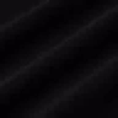 LOEWE FW22 Anagram LogoT