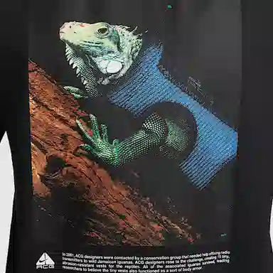 Nike ACG DRI-FIT SS25