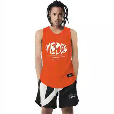 VEIDOORN T