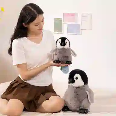 20cm30cm