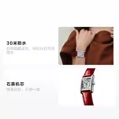 LONGINES 30 21.5*29mm L5.200.4.71.5