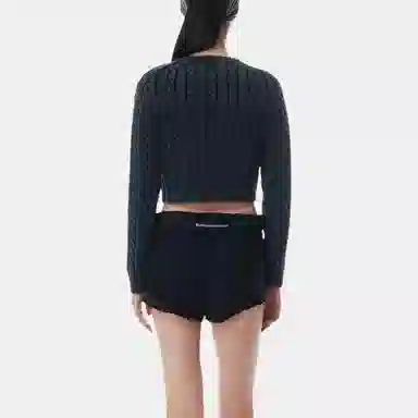 alexander wang SS25 Logo