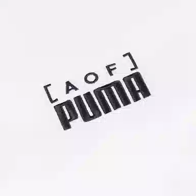 PUMA x Art of Football FW23 T-shirt White