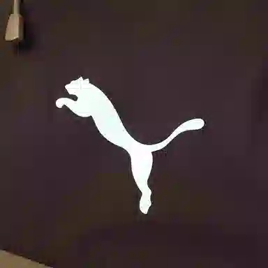 PUMA OUTDOORProtective Jacket