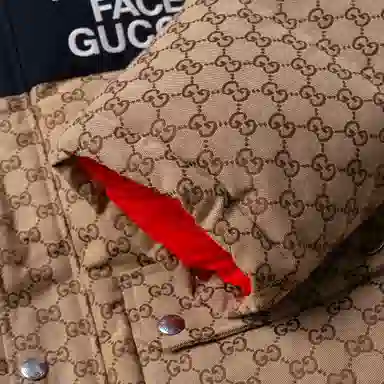 Gucci x The North Face