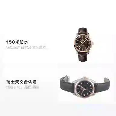 OMEGA AQUA TERRA 39mm 231.23.39.22.06.001