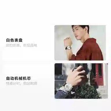 Sea-Gull 819.317 819.316