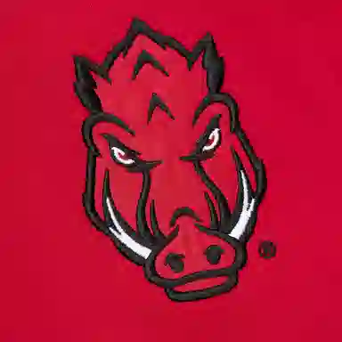 Mitchell Ness x NCAA Arkansas Razorbacks Jacquard Ringer T
