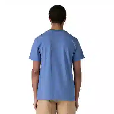patagonia T