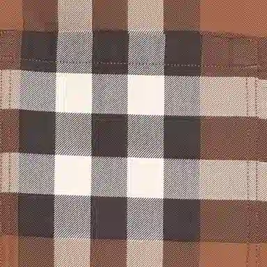 Burberry FW22 Check Shirt Brown