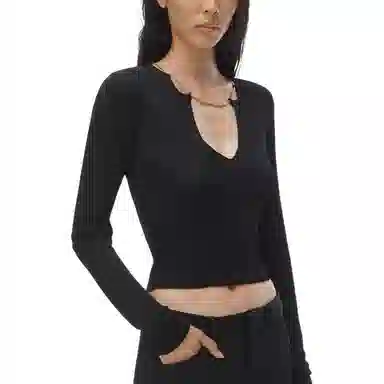 alexander wang FW24 V T