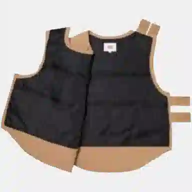 Supreme x WTAPS FW21 Tactical Down Vest