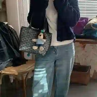 FANJI Goyard Anjou Mini