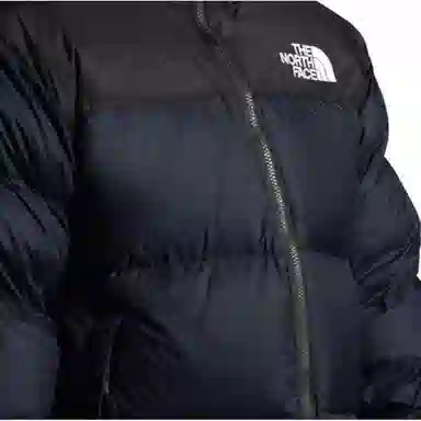 THE NORTH FACE Logo