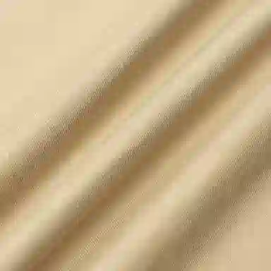 Polo Ralph Lauren FW24 T