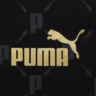PUMA SS25 T