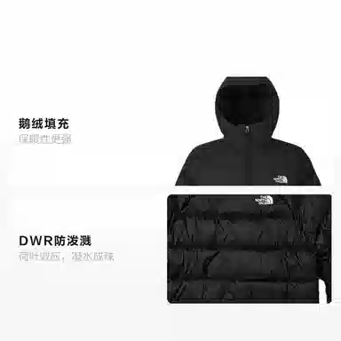 The North Face