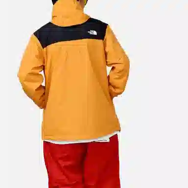 THE NORTH FACE Logo