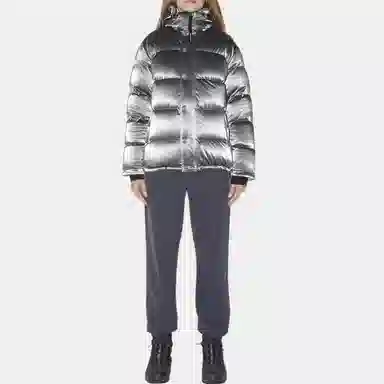 ARITZIA Super Puff Liquid Shine