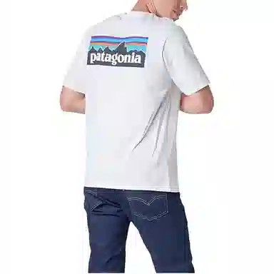 patagonia T