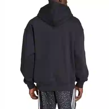 adidas originals Loose SS25 WABASH HOODIE