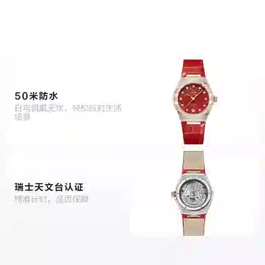 OMEGA Constellation 131.28.29.20.99.002