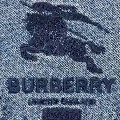 Supreme x Burberry Regular Jean