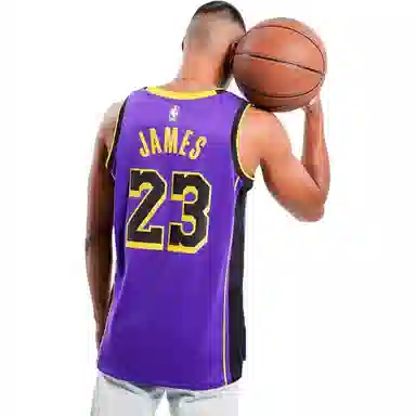 Jordan Swingman Jersey Purple