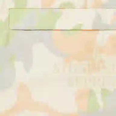 Supreme x Stone Island S22