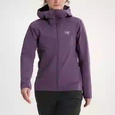 Arcteryx Gamma Hoody