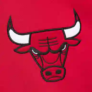 Mitchell Ness x NBA The Worm
