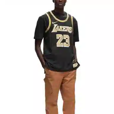 Nike x NBA LeBron James Los Angeles Lakers 2024 Select Series