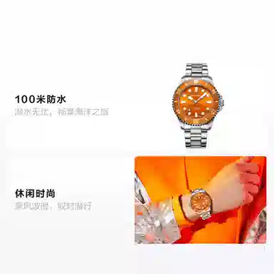 Sea-Gull 816.97.6117