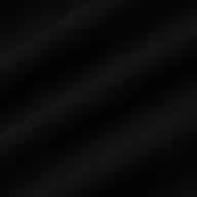 GUCCI x The North Face